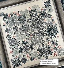 Load image into Gallery viewer, CONUNDRUM